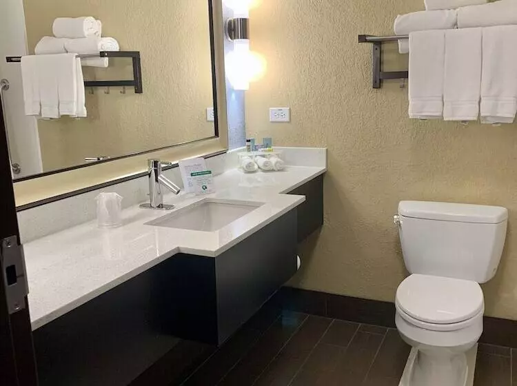 スタンダードルーム, Holiday Inn Express & Suites Kansas City Airport, An Ihg