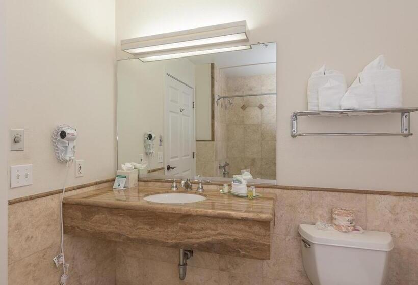 스탠다드 룸 킹사이즈 침대, Moonstone Landing