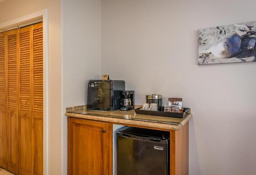 스탠다드 룸 킹사이즈 침대, Moonstone Landing