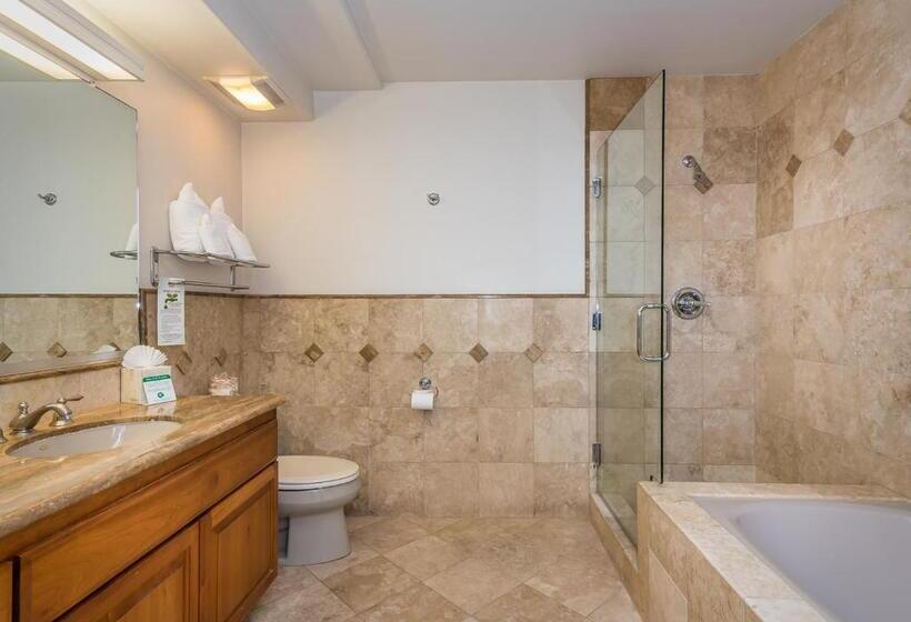 디럭스 룸 바다 전망, Moonstone Landing