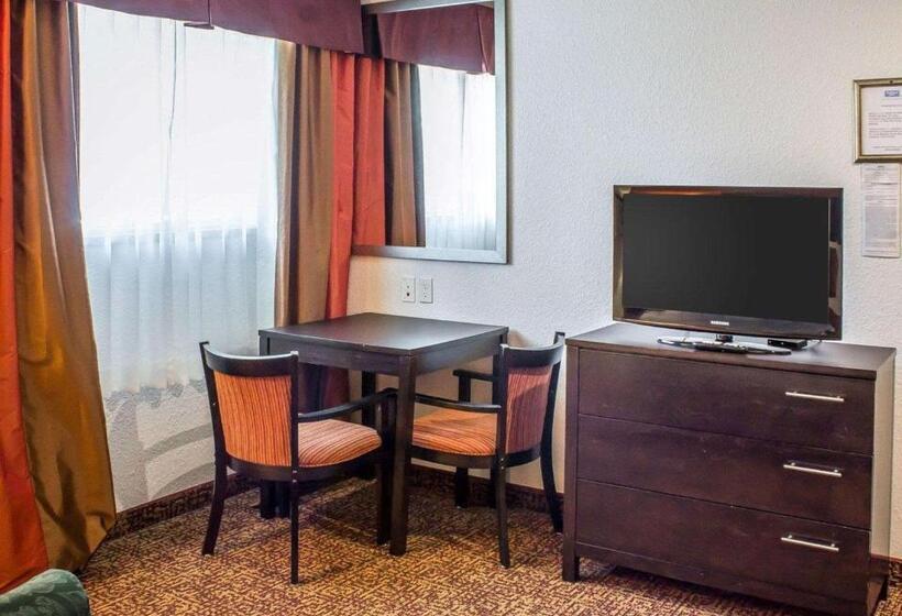 스탠다드 룸 킹사이즈 침대, Rodeway Inn Milford