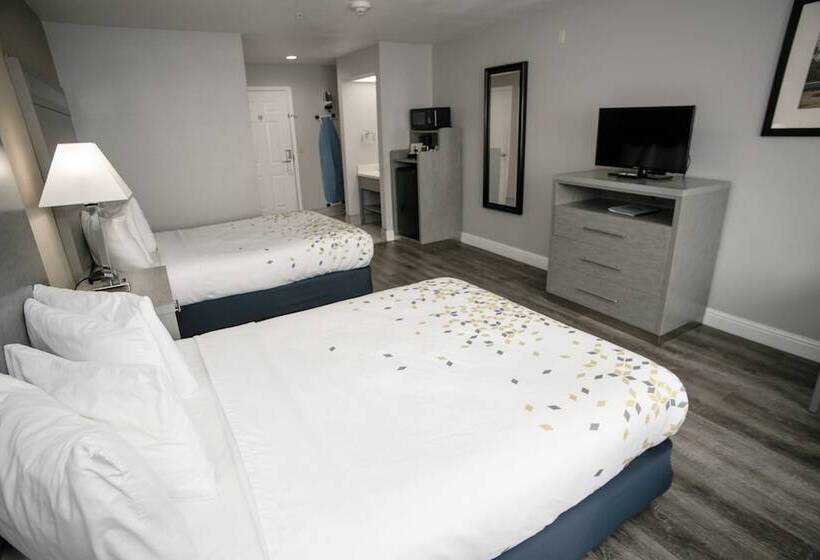 غرفه قياسيه سريرين مزدوجين, Anchor Beach Inn