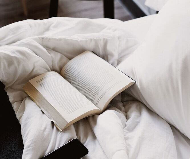 اتاق استاندارد, Room00 Ventura Hostel