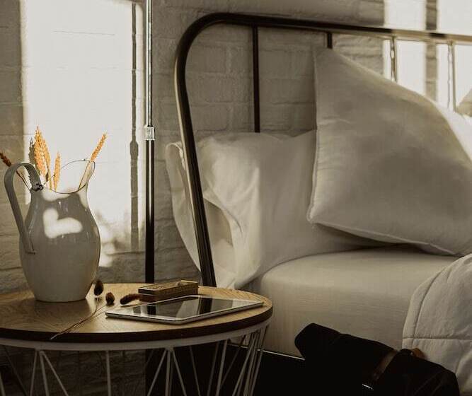 Superior Room with Terrace, Room00 Ventura Hostel