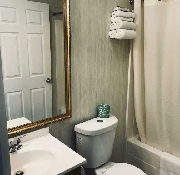 חדר סטנדרט עם מיטת קינג, Dutch Motel Palmyra