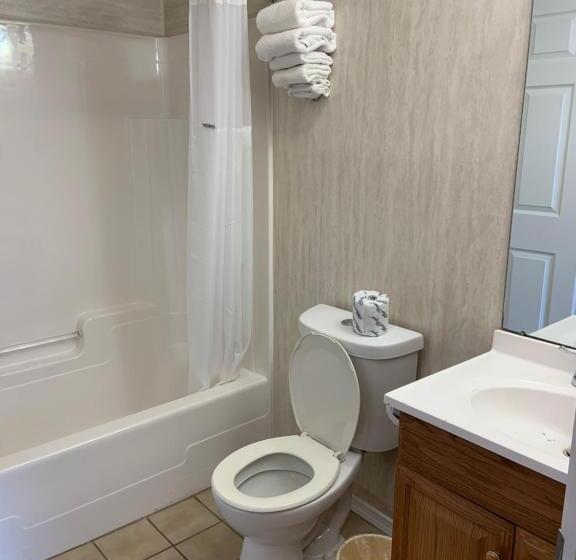 חדר סטנדרט שתי מיטות זוגיות, Dutch Motel Palmyra