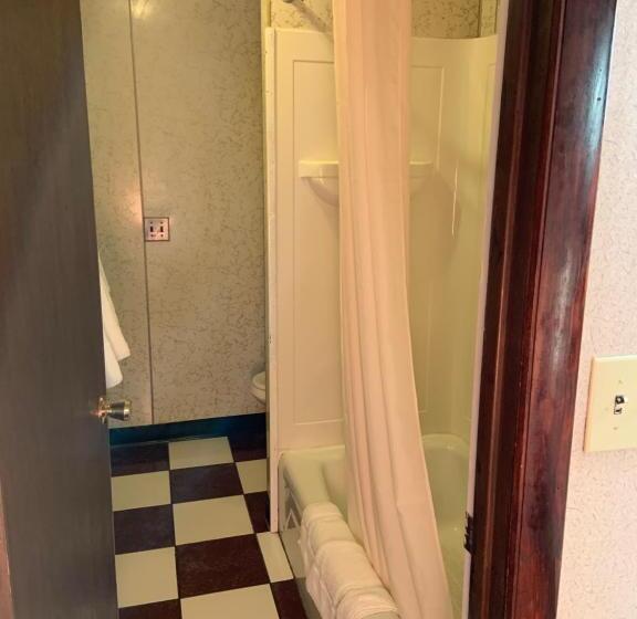 חדר בסיסי לשלושה, Dutch Motel Palmyra