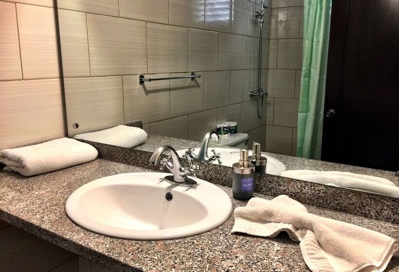 اتاق استاندارد با تخت بزرگ, Alicia Beach