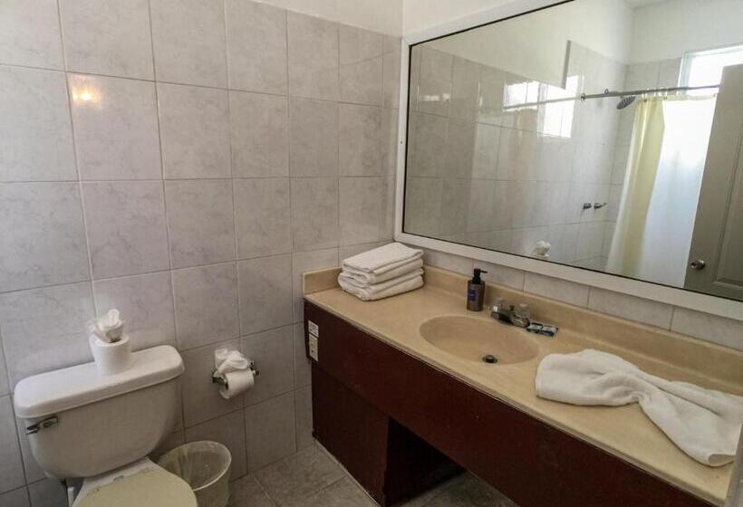 اتاق استاندارد با تخت بزرگ, Alicia Beach