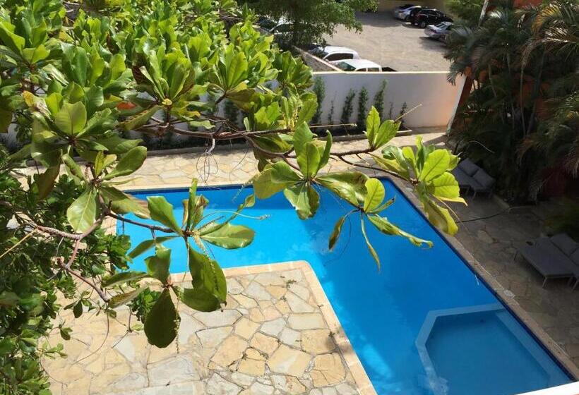 اتاق استاندارد با بالکن, Alicia Beach