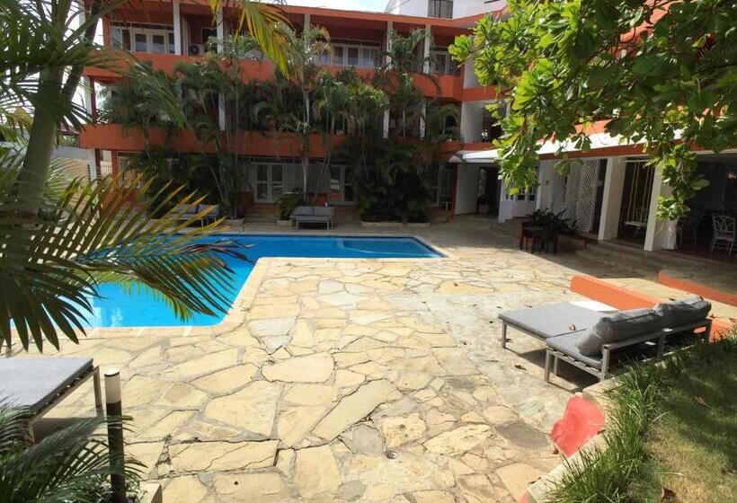 استودیو استاندارد با تراس, Alicia Beach