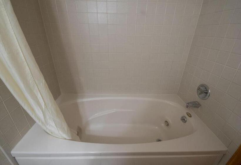 스탠다드 룸 킹사이즈 침대, Americas Best Value Inn & Suites Lake George