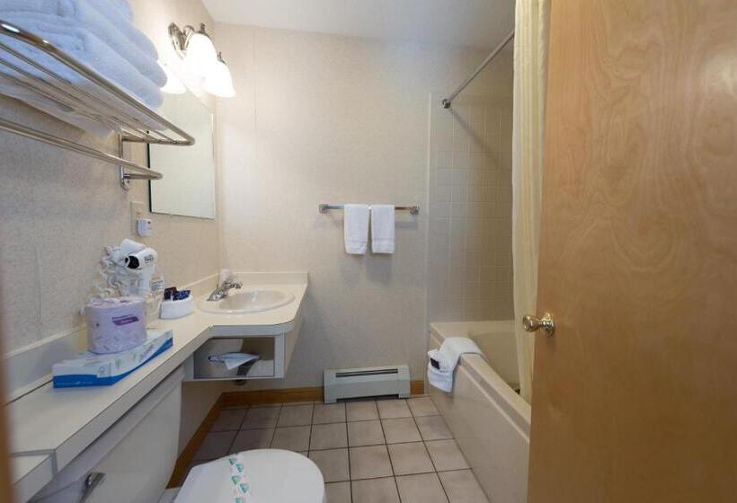 스탠다드 룸 킹사이즈 침대, Americas Best Value Inn & Suites Lake George