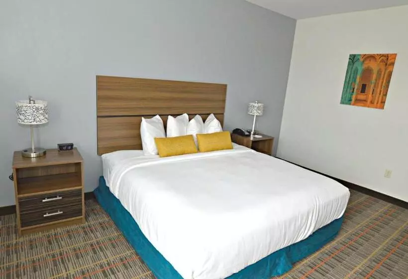 身障者適用スイートルーム, Best Western Ingleside Inn & Suites