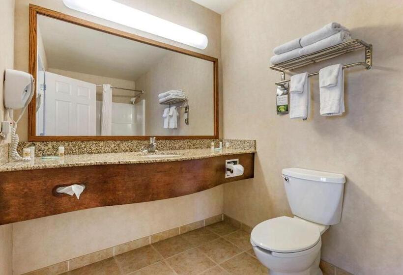 Номер Стандарт, Big Horn Resort, Ascend Hotel Collection