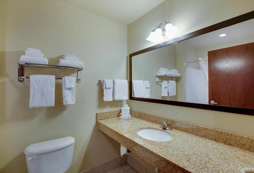 غرفة قياسية سرير كينج, Cobblestone Inn & Suites  Clintonville