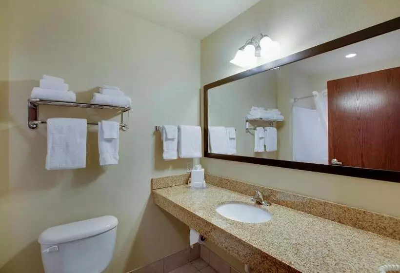 Standard-huone King-vuode, Cobblestone Inn & Suites  Clintonville