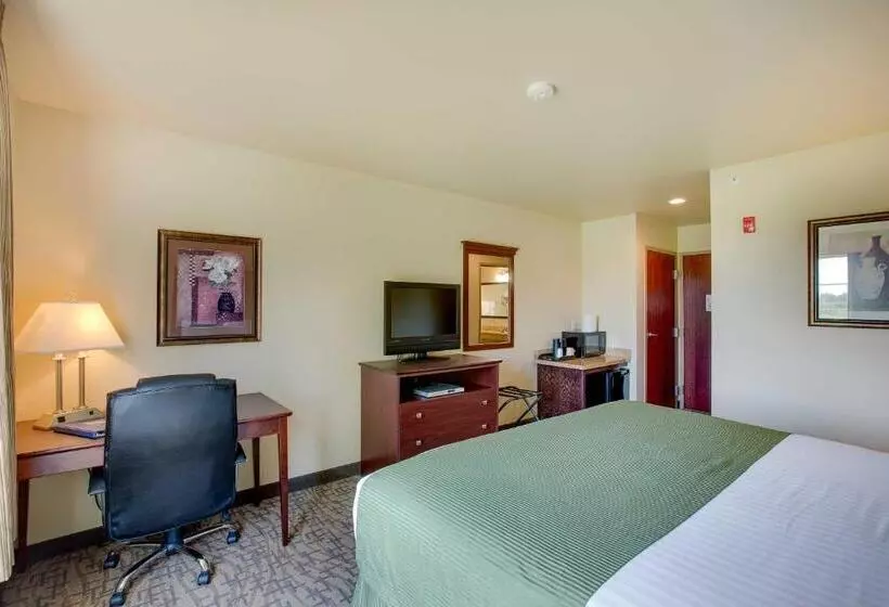 Standard-huone King-vuode, Cobblestone Inn & Suites  Clintonville