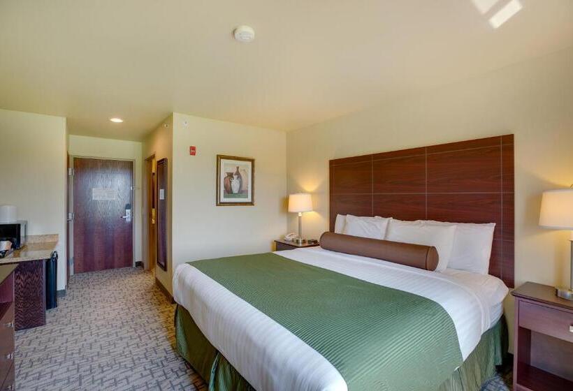 غرفة قياسية سرير كينج, Cobblestone Inn & Suites  Clintonville