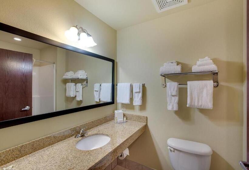 جناح سرير كينج, Cobblestone Inn & Suites  Clintonville