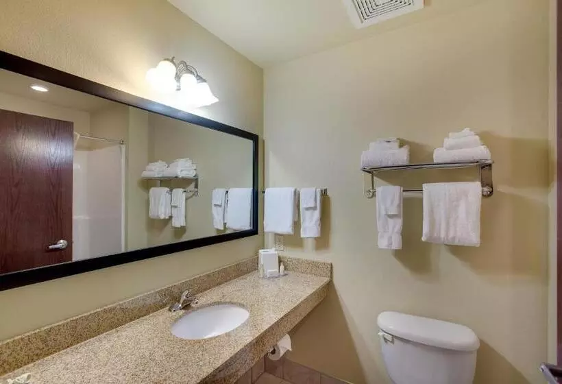 Sviitti King-vuode, Cobblestone Inn & Suites  Clintonville