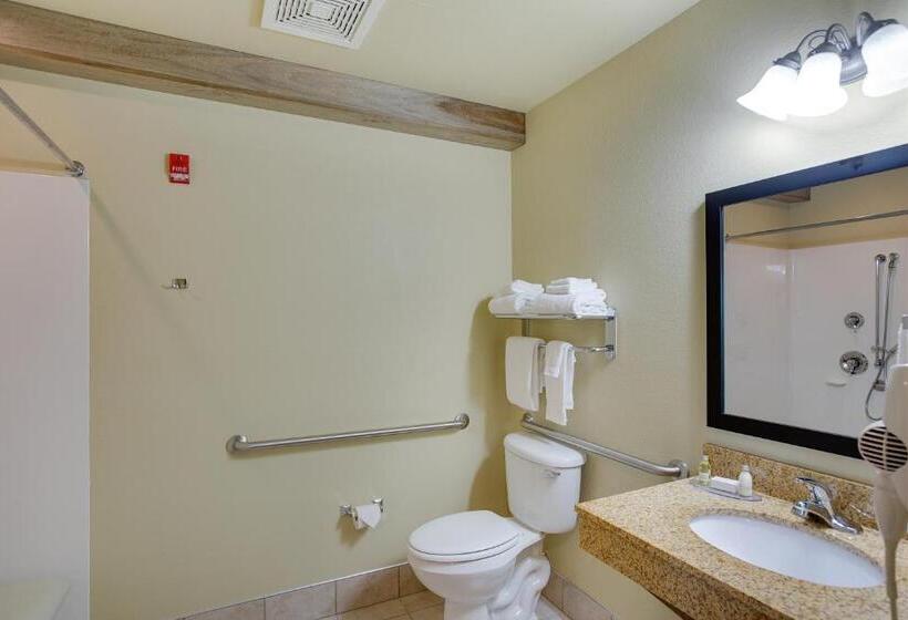 غرفة قياسية لذوى الاحتياجات الخاصة, Cobblestone Inn & Suites  Clintonville