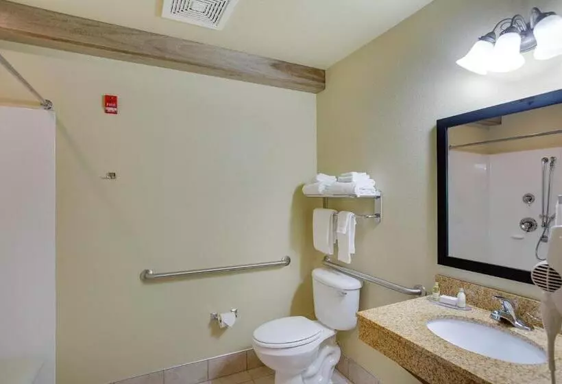 Standard-invahuone, Cobblestone Inn & Suites  Clintonville