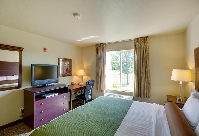 غرفة قياسية سرير كينج لذوى الإحتياجات الخاصة, Cobblestone Inn & Suites  Clintonville