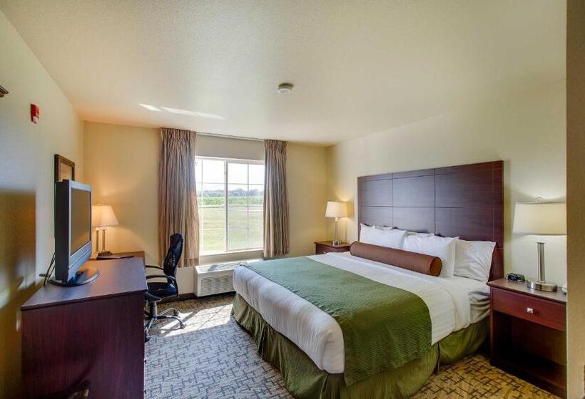 Номер Стандарт Кровать Кинг Адаптированный для Инвалидов, Cobblestone Inn & Suites  Clintonville