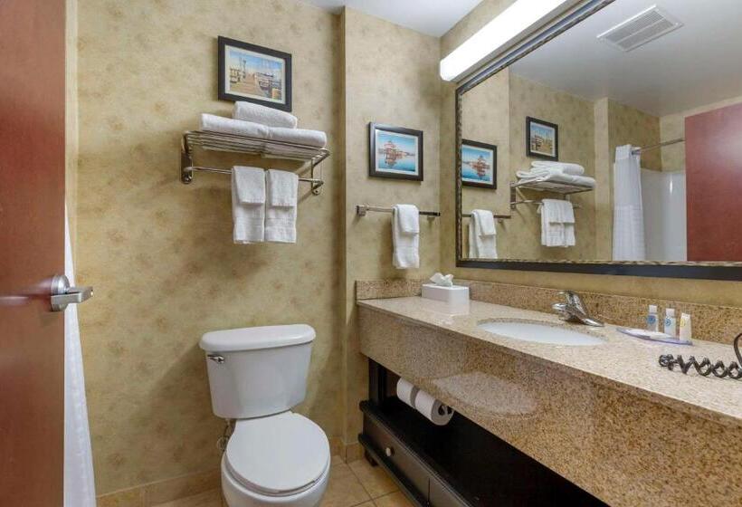 חדר סטנדרט עם מיטת קינג, Comfort Inn & Suites Cambridge