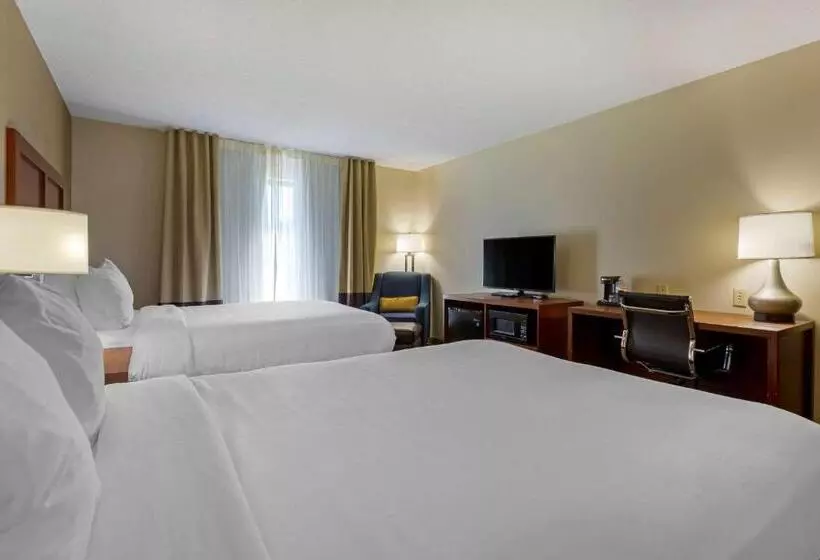 スタンダードルーム, Comfort Inn & Suites Cambridge