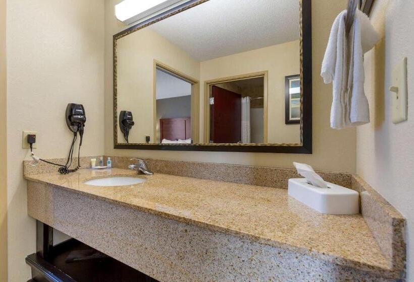 Люкс Кровать Кинг, Comfort Inn & Suites Cambridge