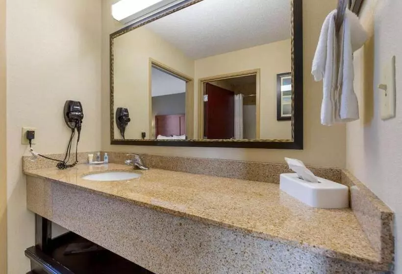 キングサイズベッドのスイートルーム, Comfort Inn & Suites Cambridge