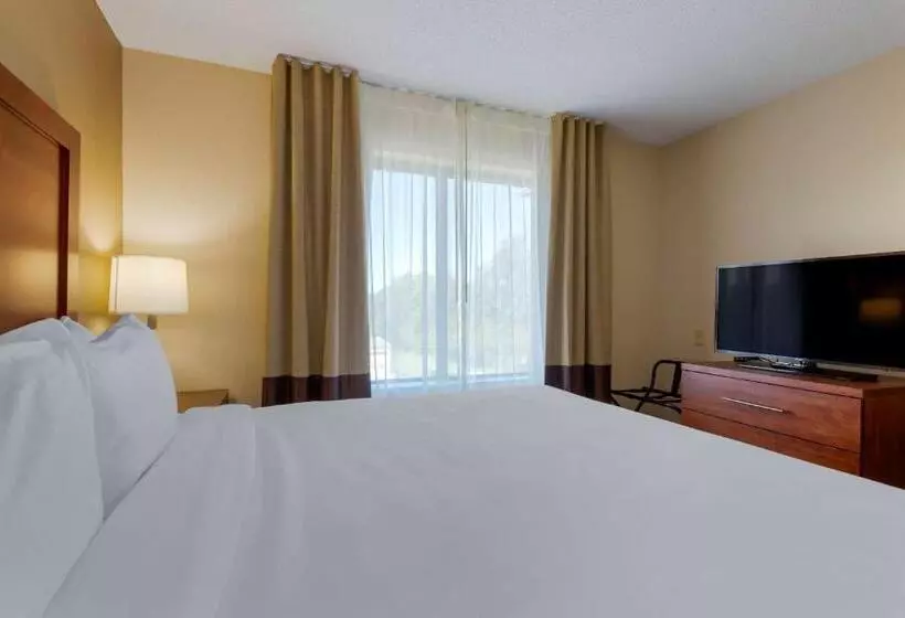 キングサイズベッドのスイートルーム, Comfort Inn & Suites Cambridge