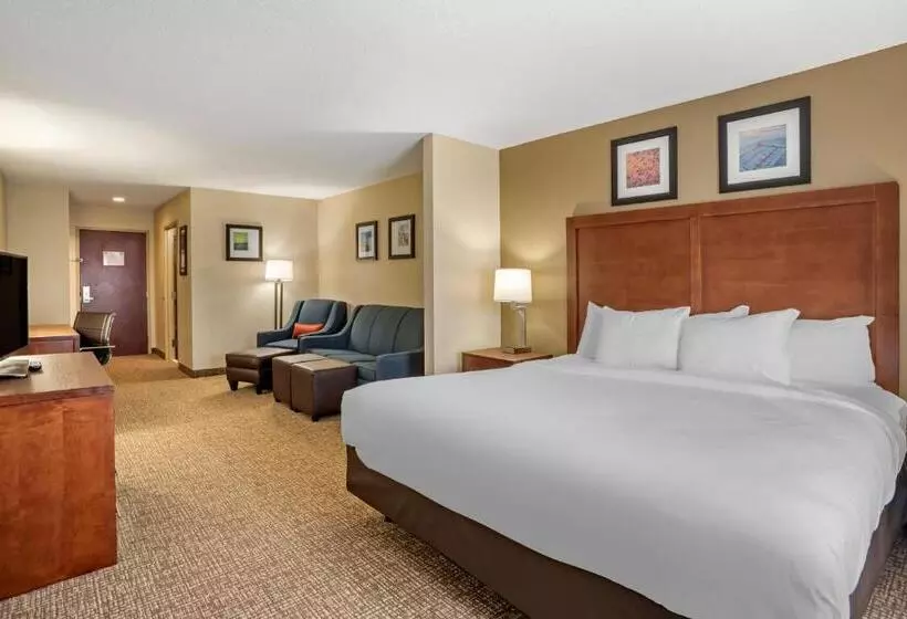 キングサイズベッドのスイートルーム, Comfort Inn & Suites Cambridge