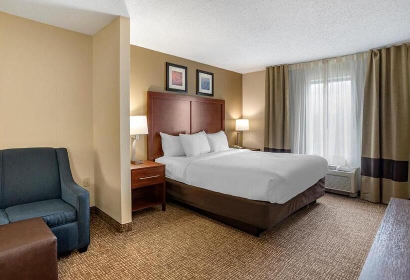 מיטת קינג בסוויטה, Comfort Inn & Suites Cambridge