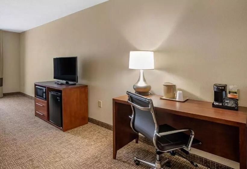 身障者適用キングサイズベッドルーム, Comfort Inn & Suites Cambridge