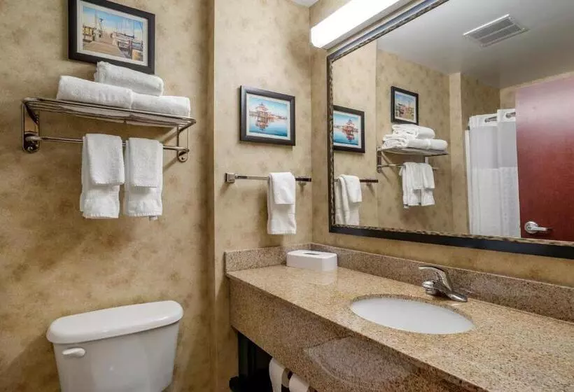 身障者適用キングサイズベッドルーム, Comfort Inn & Suites Cambridge