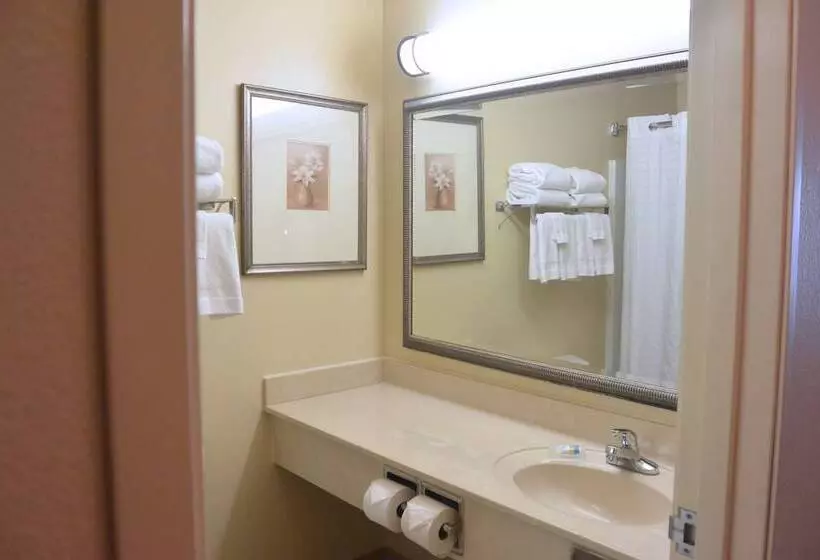 ハイドロマッサージバス付きスイート, Country Inn & Suites By Radisson, Peoria North, Il
