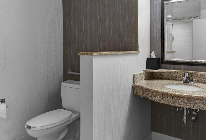 اتاق استاندارد با تخت بزرگ, Courtyard By Marriott Anniston Oxford