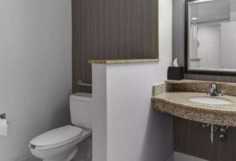 キングサイズベッドのスイートルーム, Courtyard By Marriott Anniston Oxford
