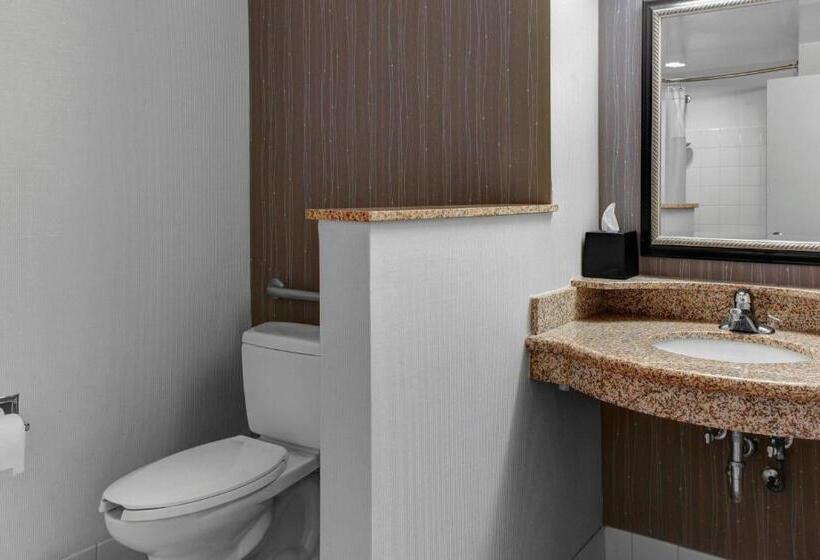 اتاق استاندارد با تخت بزرگ, Courtyard By Marriott Anniston Oxford