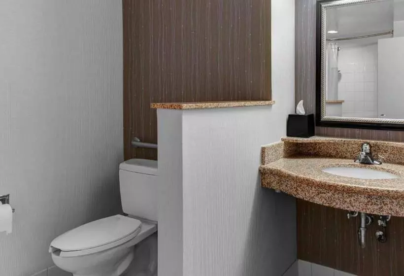 キングサイズベッドのスタンダードルーム, Courtyard By Marriott Anniston Oxford