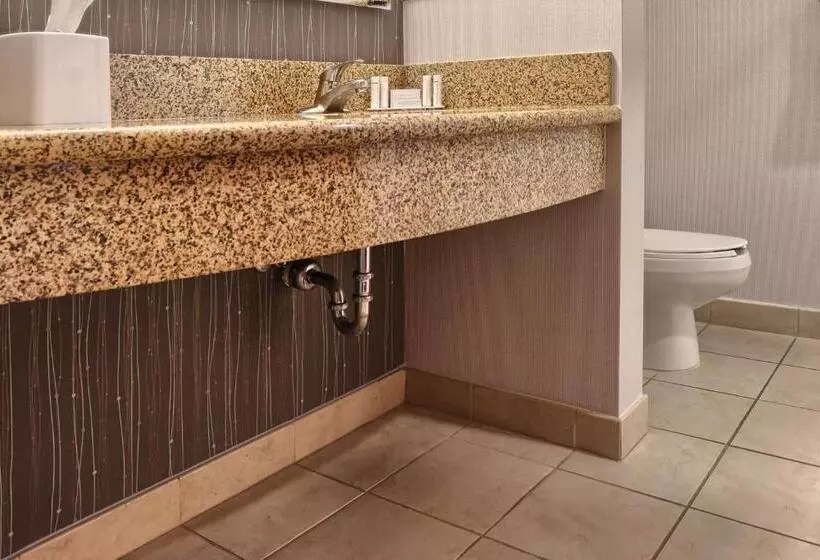 キングサイズベッドのスタンダードルーム, Courtyard By Marriott Harrisburg West/mechanicsburg