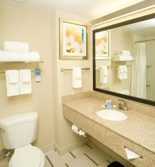 スイート, Fairfield Inn & Suites By Marriott Chesapeake Suffolk