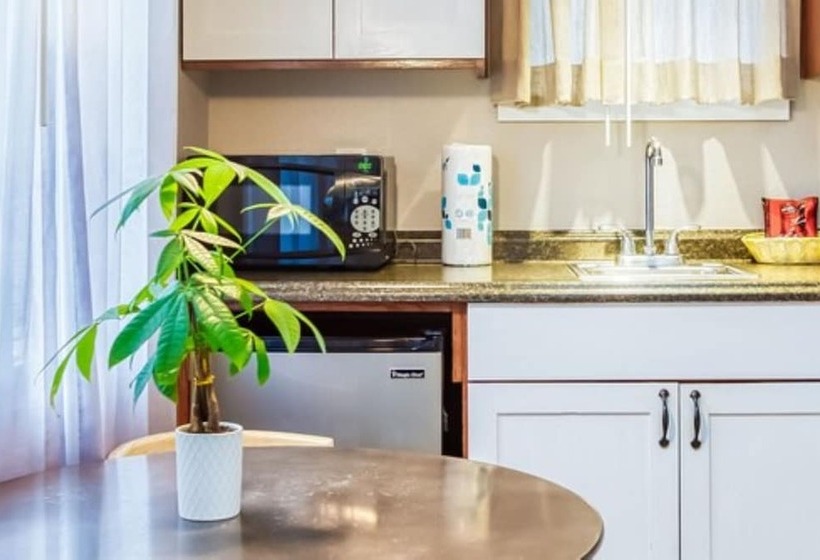 غرفة قياسية, Inn At Haystack Rock