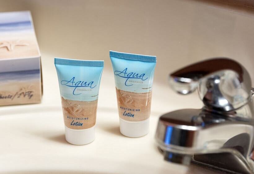 스탠다드 싱글 룸 싱글침대, Monte Carlo Ocean City