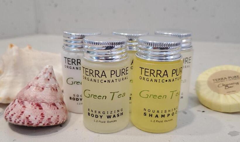 经济房, The Mammoth Inn