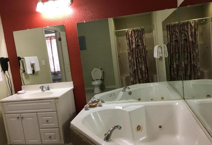 غرفة قياسية سرير كينج, Western Plaza Inn