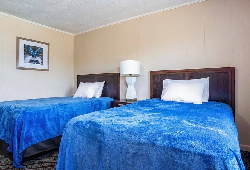 Номер Стандарт 2 Двуспальные Кровати, OYO Hotel Opp AL, Floral Hwy
